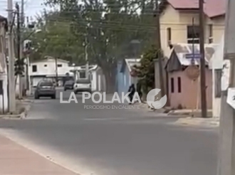 El Hocico del Lobo