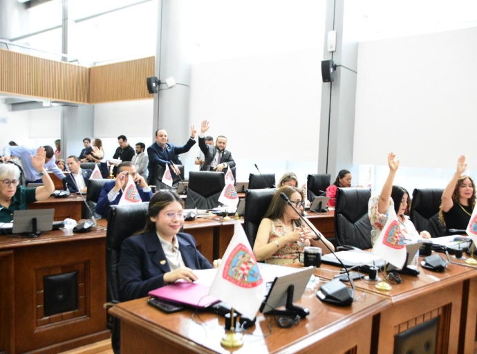 Borregada Sin Cencerro