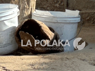 Ciudad de Calaveras Rodantes