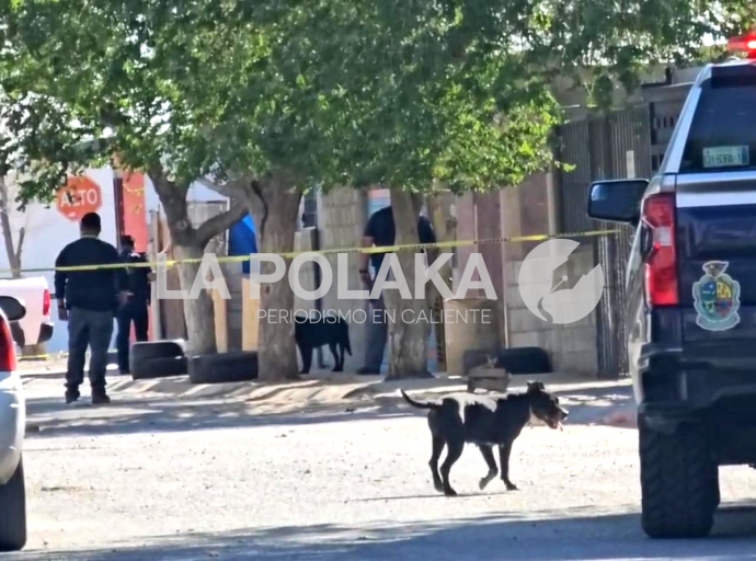Sacrificados en Bola