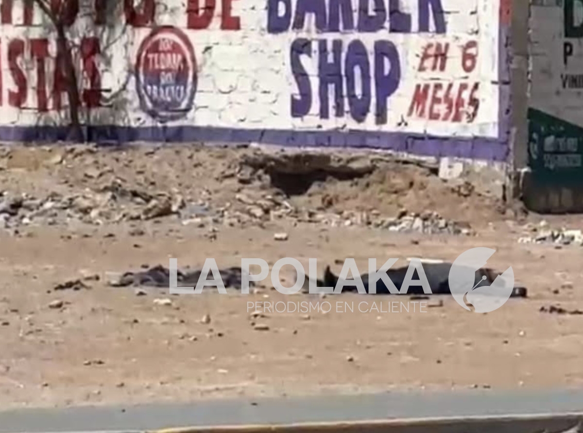 Hasta Que Hacen su Trabajo