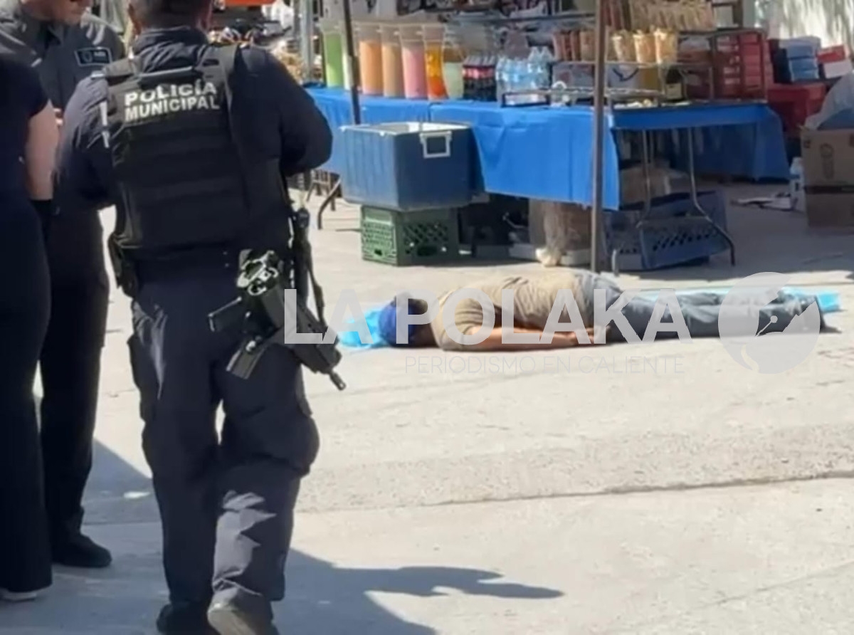 Líder Segundero