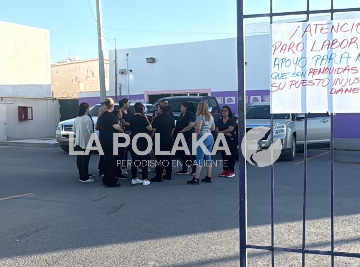 Quien Sabe Que Harían...