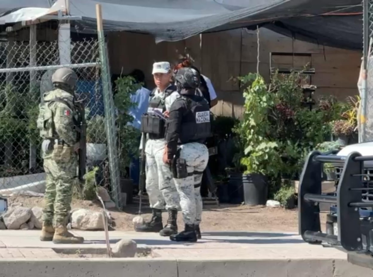 Terrorismo Ambiental