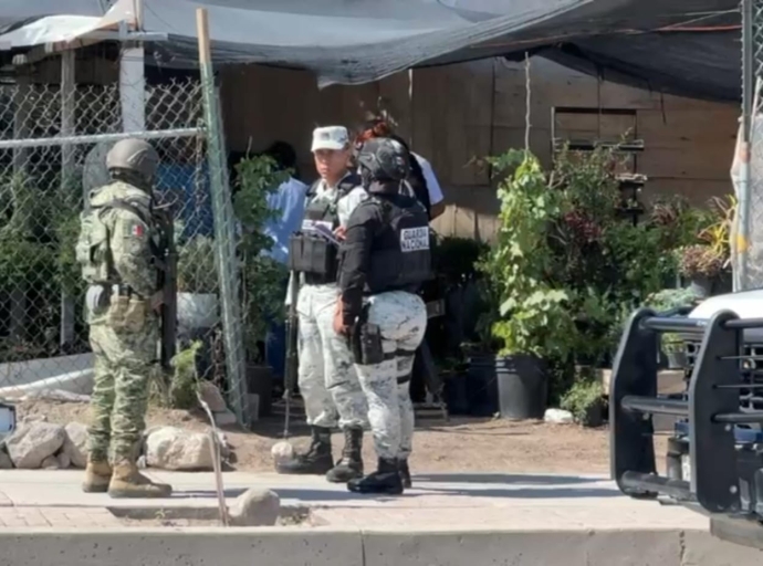 Terrorismo Ambiental