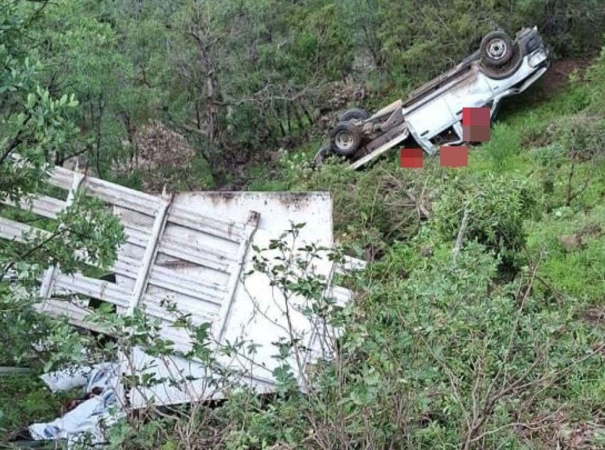 Maldición en el DIF Estatal