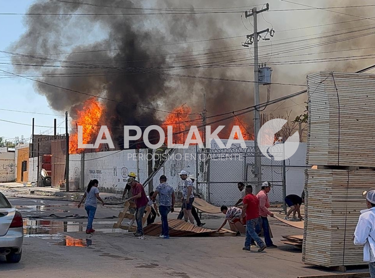 Alarma en el Granjero