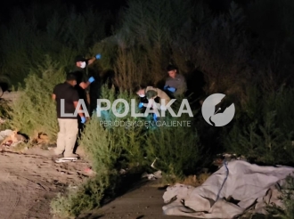 Charco Hemático en El Sauzal 