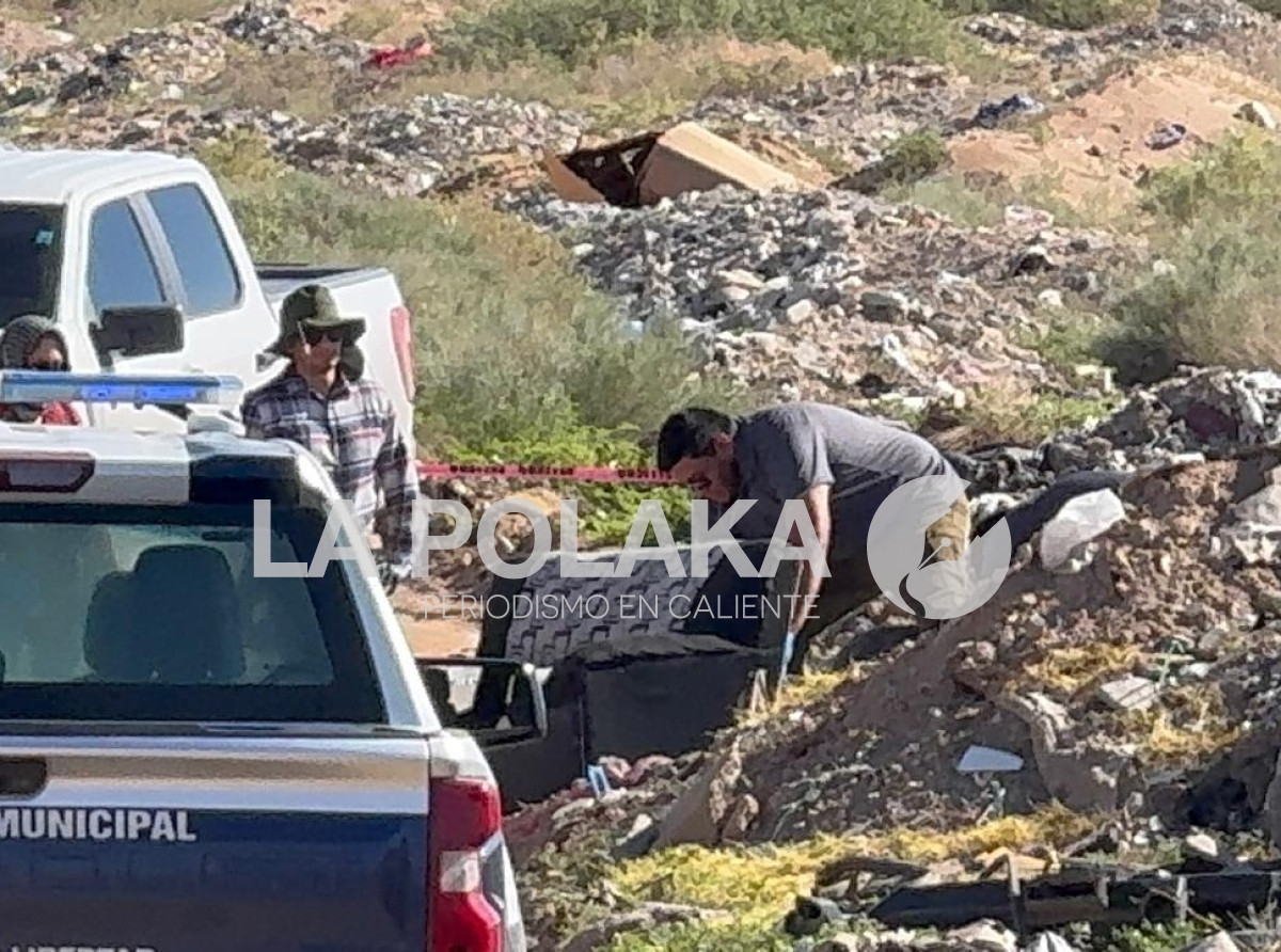 Remate de Cristalería