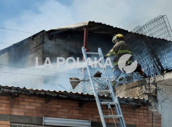 Quemazón de Papas Puercas