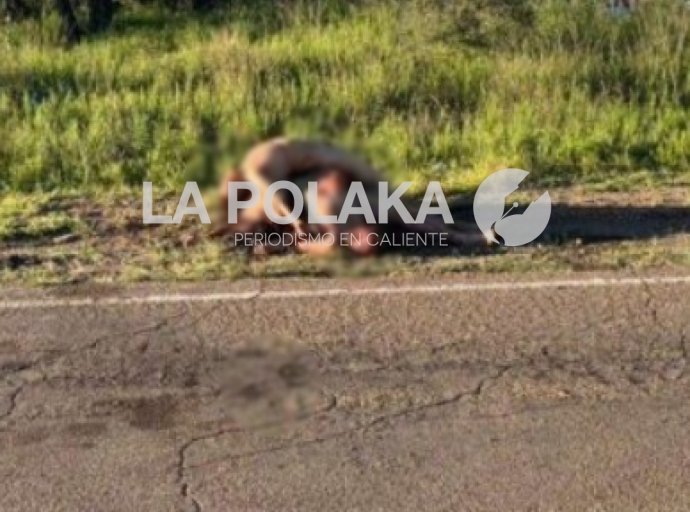 Exterminio a Linieros