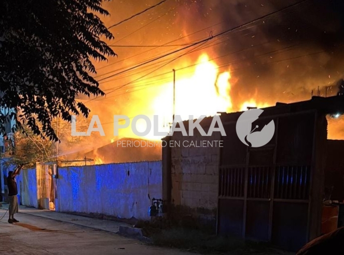 Introducción al Grito