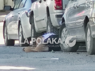 Flotilla de la Plebiza