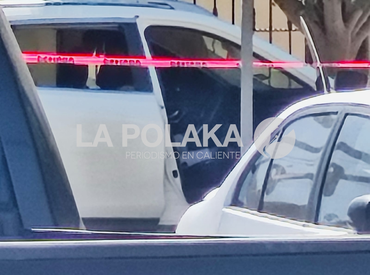 Cayó La Ley