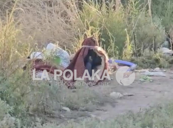 Triple Pack Con Dedicatoria