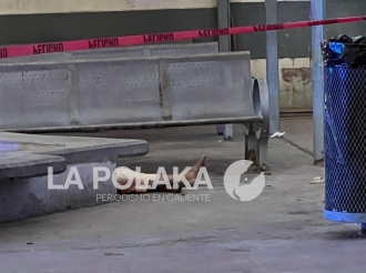 Le Gustó Para Morir