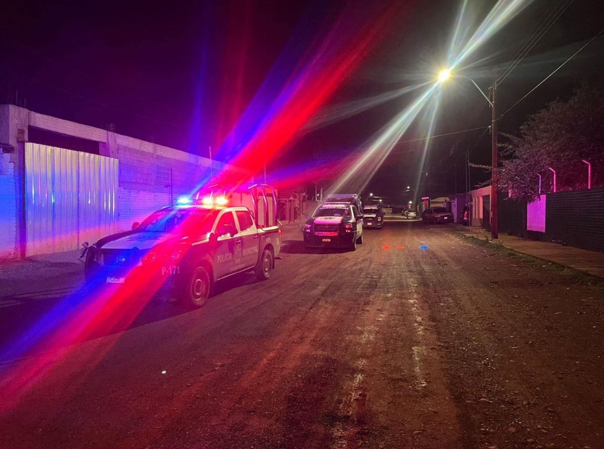 Tigres Pintan Su Raya