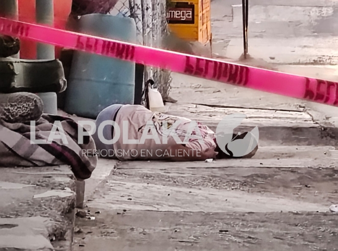 Ni Que estuvieran Tontos