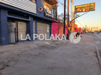 Prácticas Profesionales