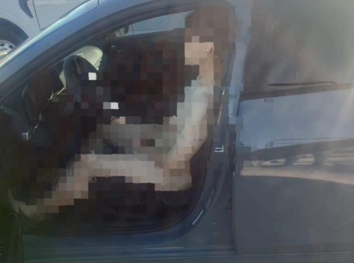 Todos Querían Verlo