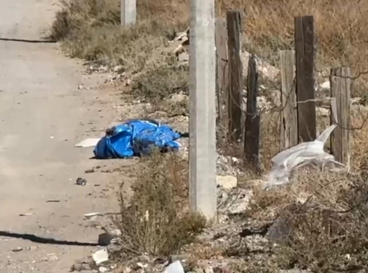 Paquete Por la Casas Grandes 