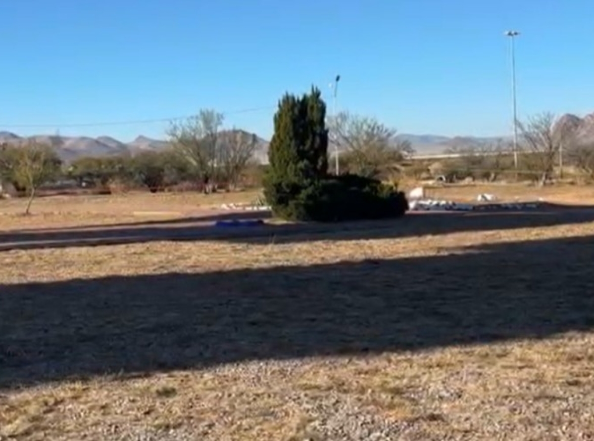 Estertores en Marulandia 