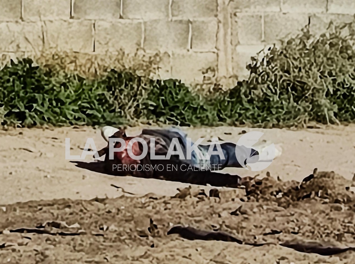 La Limpia Va en Serio