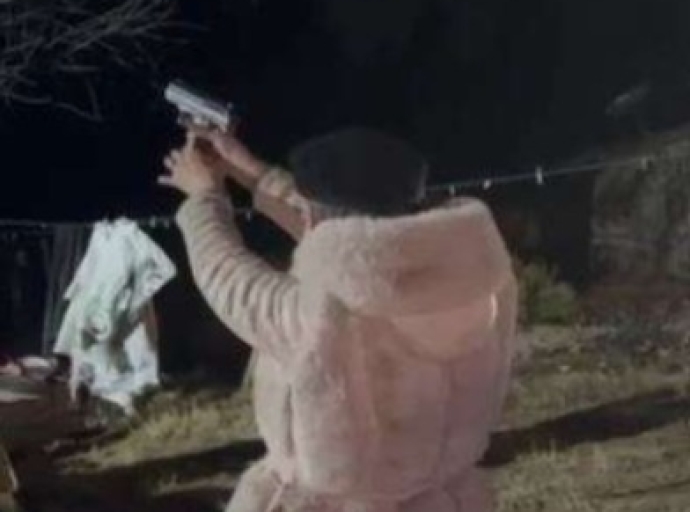 Adelitas de Guadalupe y Calvo