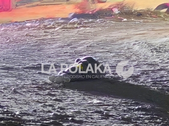 Limpieza del Cantón