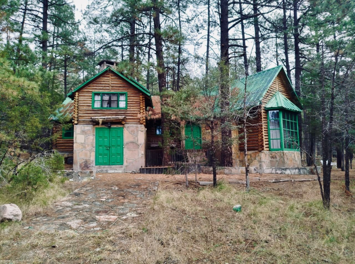 Javiruchis Pierde Nidito de Amor