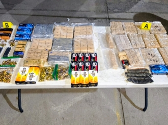 Cazadores de Conejos 