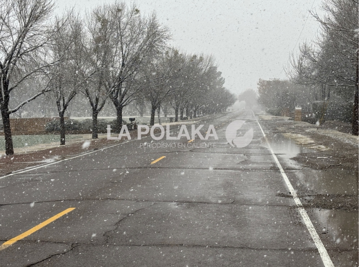 Histórico Buffet Invernal