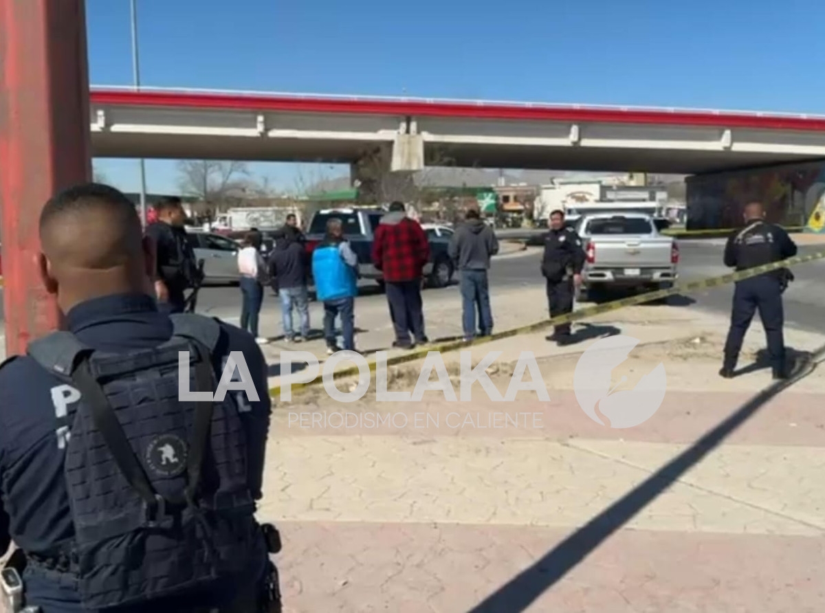 Pelos de Erizo en Juaritos