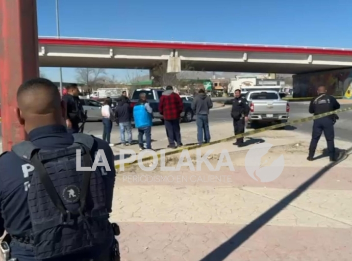 Pelos de Erizo en Juaritos