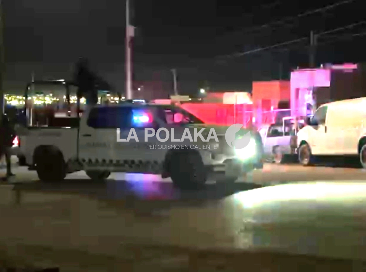 Narcolimpia Ecológica