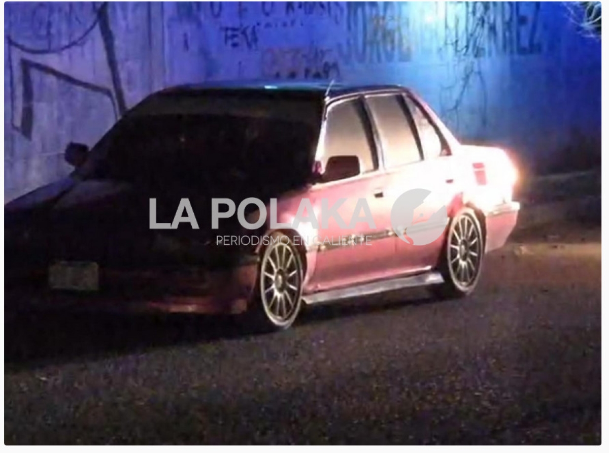 Para Canibales de Isla Epstein