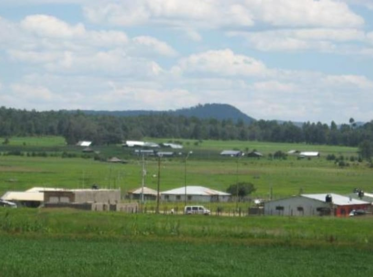NarcoEstado de Sitio