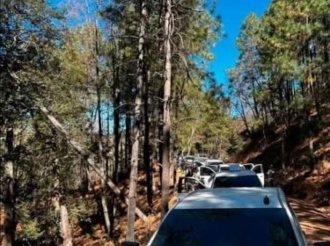 Despues de las Balaceras