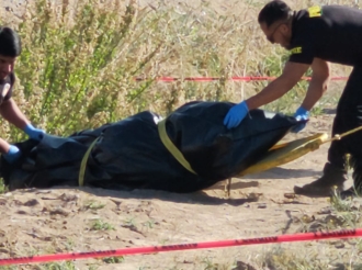 Canal de Horribles Noticias