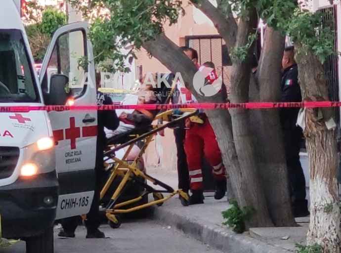 Y Gilberto Loya en Exhibiciones...