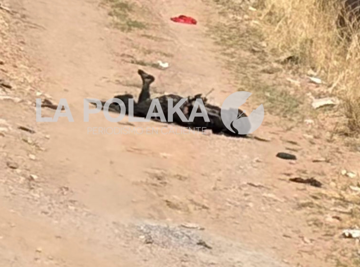 La Calor en Marulandia