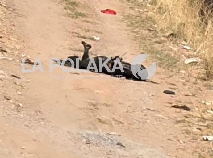 La Calor en Marulandia