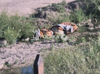  Así Evitan Engorrosos Trámites