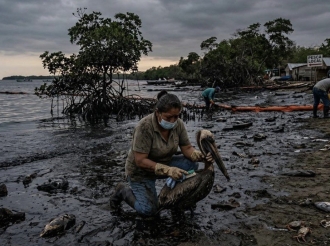 La 4T Destruye Playas