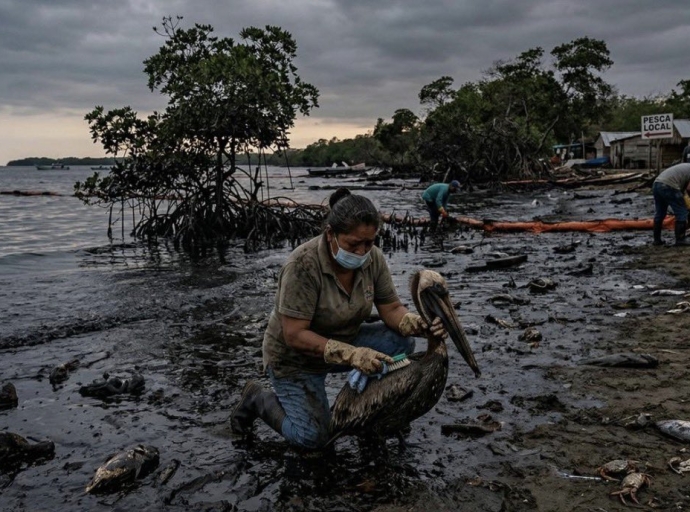 La 4T Destruye Playas