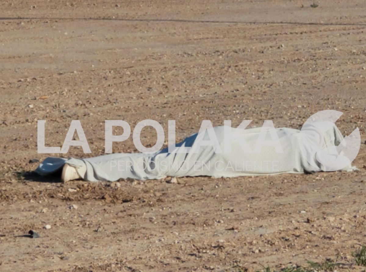 Biker De Tenis Blancos