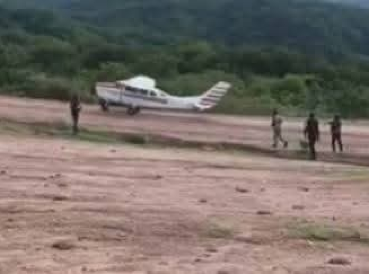 Halcones Pintan Su Línea