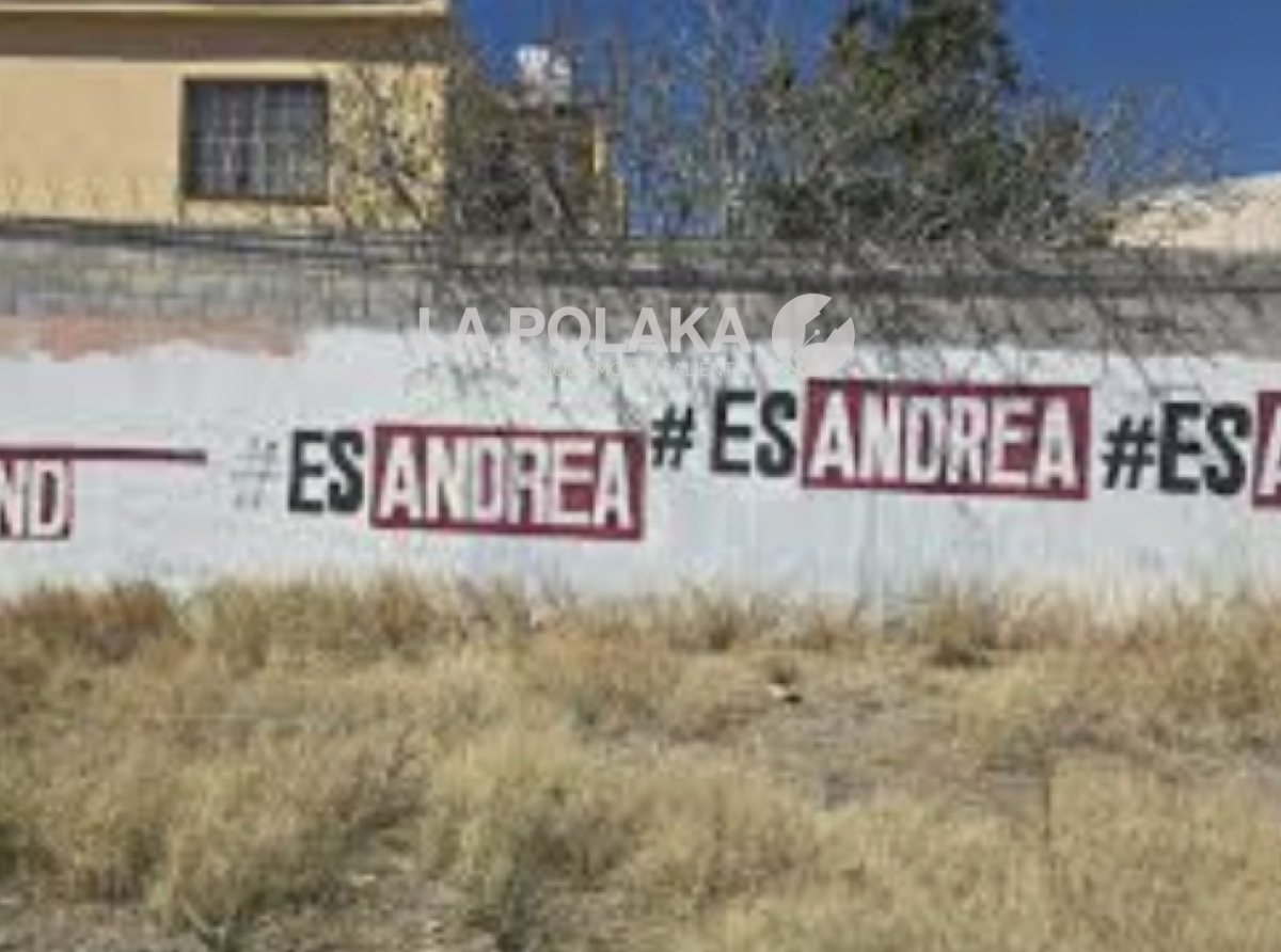 Sanción a Grafitera