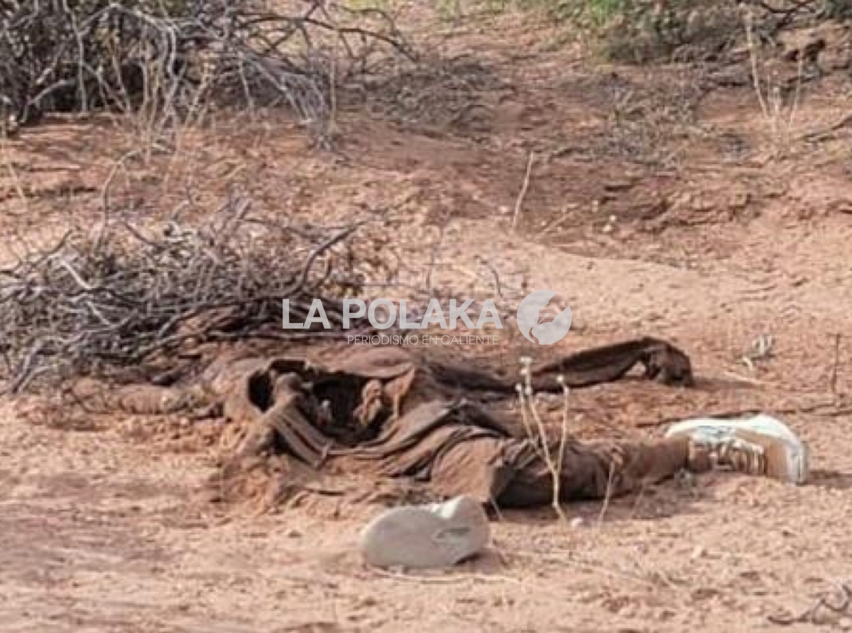 Nomás Los Tenis Quedaron