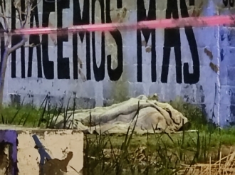 Miercoles Ecológico